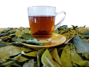 Dried Soursop Leaves Broken Black <b>Tea</b> Non Sugar in Ziplock Bag Premium Natural Bulk Organic Vietnam Export - Product Image 3