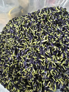 Fleur de pois papillon riche en anthocyanes, thé aux herbes 100% naturel et biologique pour soutenir la fonction des yeux et du cerveau, marque EXPAD, fournisseur Vietnamien - Product Image 4