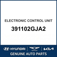 Nueva Unidad de Control Electrónico Original OEM 391102GJA2