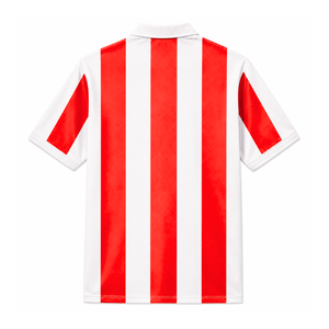 Camiseta de fútbol personalizada de la hermandad Delta Sigma Theta, de manga corta, con logo, en azul y blanco, a rayas, de poliéster, para mujer. - Product Image 3
