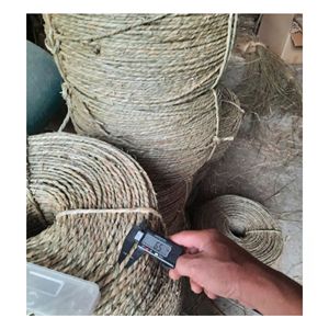 Herbe de mer naturelle brute pour la fabrication artisanale de paniers de rangement, matériau décoratif de qualité supérieure, qualité export, approvisionnement en vrac - Product Image 5