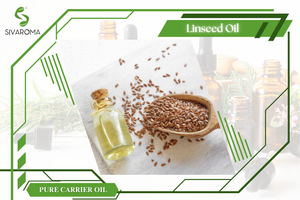 Huile de lin de qualité supérieure, exportateur indien, huile de support extraite par solvant sauvage pour les cosmétiques, les soins capillaires et les applications industrielles, en bouteille - Product Image 3