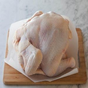 ไก่แช่แข็งฮาลาลเกรดพรีเมียมคุณภาพสูงจากออสเตรีย บรรจุภัณฑ์แบบขายส่ง วิตามินเกรดพรีเมียม น้ำหนัก 25 กก. อายุการเก็บรักษา 2 ปี - Product Image 2