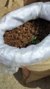 Guggulsterona E y Z, Resina de Goma de Guggul, Precio al por Mayor a Granel, Pakistán - Product Image 3
