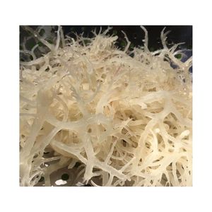 MORUE SÉCHÉE SALÉE À VENTE RAPIDE POUR LA PRODUCTION COMMERCIALE FIABLE DE GELATINES ET INGRÉDIENTS POUR BOISSONS EN GROS - Product Image 1
