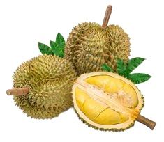 Whole Frozen Durian: Hot Sale From Vietnam, Premium Quality - Product Image 2