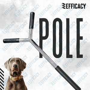 Palo de Adiestramiento para Perros de Acero Inoxidable de 3 pies con Empuñadura y Fundas de PVC - Product Image 3