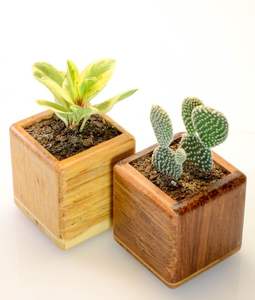 Jardinière en bois massif d'extérieur la plus vendue pour légumes, fleurs, herbes – Grande capacité pour balcon, patio, jardin - Product Image 3