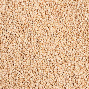 Quinoa de qualité supérieure, stock frais en gros pour les partenaires de la chaîne d'approvisionnement internationale - Product Image 4