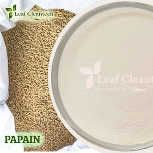 Papain Outstanding Quality Animal Feed <b>Enzyme</b> Manufactured in India From Bangalore, Karnataka, India - Product Image 2