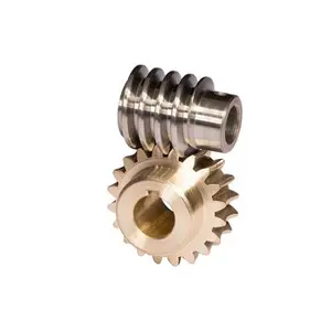 Custom Design High Precision ISO 6 Steel Brass Worm Gear