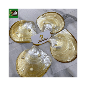 Petite assiette décorative en nacre naturelle, assiette à caviar en nacre, vaisselle en coquille artisanale de qualité supérieure pour cadeau et hôtel - Product Image 4