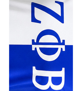 Elegant Casual Zeta Sorority 100% Cotton Tee Blue White Chenille Patch Greek Shirt with <b>Silver</b> Trim Embroidery Eco-Friendly - Product Image 2