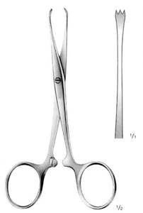 Pinces de Chaput 12 cm en acier inoxydable, pinces chirurgicales de préhension des tissus, pinces de précision à pouce, instrument médical réutilisable - Product Image 4