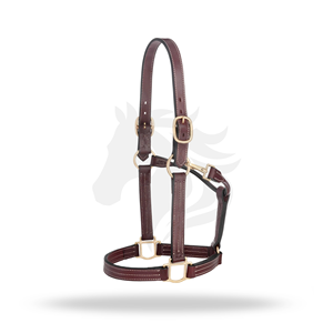 Harnais classique en cuir pour cheval, réglable, avec ferrures en laiton, collier équestre durable - Product Image 1
