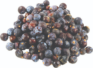 New Wholesale 2026 New Season Premium Quality Natural Dried Juniper Berries Organic Supply For Private Label Brands - Product Image 4