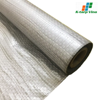 Lámina de Plástico PE de 0.2mm, Resistente al Agua y a los Rayos UV, para Cubrir Pisos en Obras de Construcción, de K Tarp