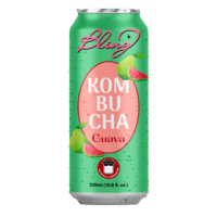 Tren Terbaru OEM ODM Label Pribadi 250ml/330ml Jus Buah Rasa Alami Mangga Kombucha Jeruk Vanila Puree Kaleng (Dalam Kemasan Kaleng)