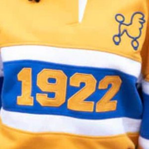 Camisa de Rugby de Verano para Mujer Sigma Gamma Rho 1922, Amarilla y Azul, Manga Larga, Cierre de Botones, Estilo Deportivo Informal - Product Image 5