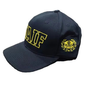 Casquettes de baseball unisexes en coton brossé à 6 panneaux, vente en gros OEM, logo brodé personnalisé, visière incurvée, casquette de baseball structurée - Product Image 2