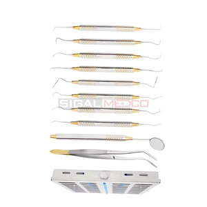 Kit d'instruments pour hygiénistes dentaires, 10 pièces, manuel, acier inoxydable allemand, cassette de stérilisation, chirurgie générale professionnelle - Product Image 3