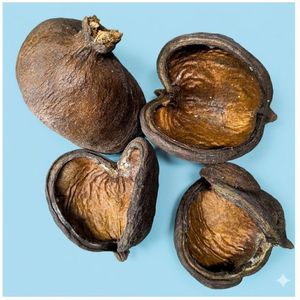 ยามูนา ฝักบัลมอสแห้งธรรมชาติรักษ์โลก (ขนาดใหญ่) สำหรับตู้ปลา - Product Image 1