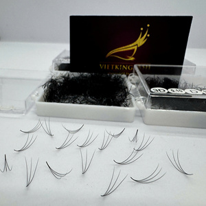 0.05 0.07 Handmade 6D 8D Eyelash Extensions CC DD M Curl Natural Long Matte Black High Quality Customizable - Product Image 2