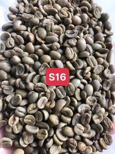 Wholesale Unroasted <b>Robusta</b> <b>Coffee</b> <b>Beans</b> Premium Grade Natural Process Bulk ExporterExport Grade Green <b>Coffee</b> <b>Bean</b> - Product Image 2