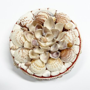 Sea <b>shell</b> jewlery boxes various design handmade trinket box from natural seashell competitive price - Product Image 3