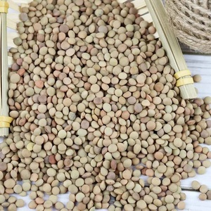 Lentejas Rojas/Verdes/Amarillas Enteras, 100% Naturales y Orgánicas, de la Mejor Calidad, Secas, a Granel, 25 kg, Marca TZ453G, Chana Dal para Uso Alimentario - Product Image 5