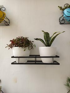 Support mural pour plantes en fer noir thermolaqué, moderne, suspendu, vertical, avec finition résistante à la rouille - Product Image 6