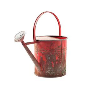 WHITE ROYALS Vintage Galvanized Steel Watering Can 8L Eco-Friendly Retro Style Indoor Outdoor <b>Garden</b> <b>Tool</b> Home Decor - Product Image 4