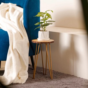 Pot de plante rond en bois moderne de luxe avec incrustation de nacre et support métallique pour salon, bureau, patio - Product Image 1