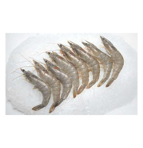 กุ้งขาวหัวขาดหางขาด แช่แข็ง บรรจุกล่อง 5 กก. อายุการเก็บรักษา 12 เดือน จากแอฟริกาใต้ ราคาดีที่สุด - Product Image 5