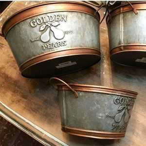 Luxury <b>Galvanized</b> Metal <b>Bucket</b> with Copper Rim and Handle Rustic Pear Embossed Planter - Product Image 1