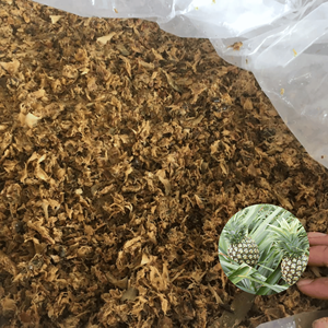 Oferta Especial: Ensilaje de Cáscara de Piña de Primera Calidad al Mejor Precio de Fábrica en Vietnam, Empacado en Bolsas de 30 kg - Product Image 1