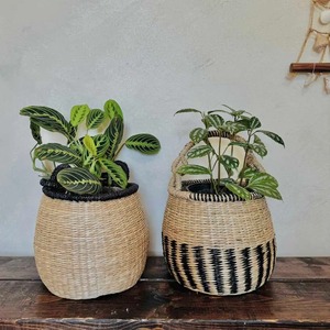 Cesta Redonda con Asa, Estilo Costero Encantador, Cesta de Almacenamiento Hecha a Mano, Venta al por Mayor, Ecológica, Hecha en Vietnam - Product Image 6