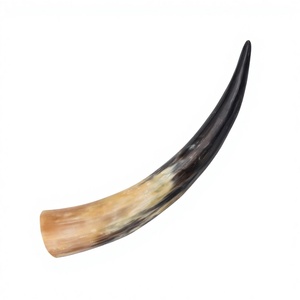 Cuerno de Búfalo Natural Pulido, Ecológico, Largo y con Forma Natural, Seguro para Alimentos, para Fiestas, Picnics y Bares, Venta al Por Mayor - Product Image 4