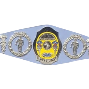 เข็มขัดแชมป์มวยปล้ำแบบมีสายรัดสีน้ำเงิน คุณภาพสูง พร้อมปรับแต่งได้สำหรับนักสะสม - Product Image 2