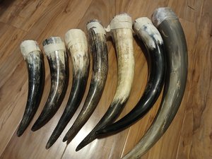 Custom Made Drinking <b>Horn</b> Beautifully Crafted Viking Engraved Drinking <b>Horns</b> Ideal for Stand for Beer Natural <b>Horns</b> <b>Drinks</b> - Product Image 1