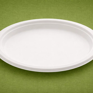 Eco-friendly Biodegradable Compostable Sugarcane Bagasse Disposable Modern Round Party Plate 500 Pcs/Box Axiom Exports - Product Image 1