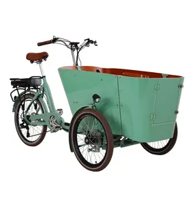 3 바퀴 bakfiet 전기 화물 자전거 비 커버 성인 세발 자전거 판매