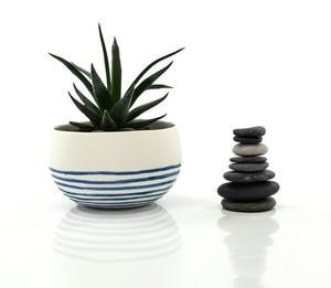 Maceta de Cerámica con Acabado Brillante, Diseño Profundo, Construcción Robusta, Decoración Elegante para Interiores, Hogar y Jardín - Product Image 6