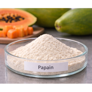 Polvo de Enzima Proteasa de Papaína de la Mejor Calidad para Uso Profesional en Cocinas, Restaurantes y Cocina Gourmet para Venta de Exportación - Product Image 1