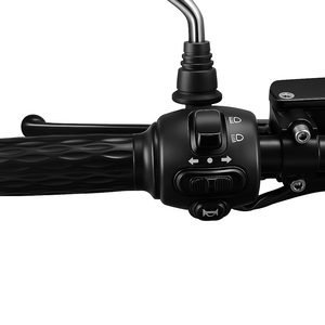 Motocicleta Eléctrica con Sidecar <span class=keywords><strong>Triciclo</strong></span> Eléctrico de Tres Ruedas para Adultos - Product Image 5