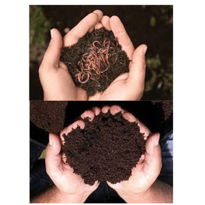 Engrais de sol organique de qualité supérieure à base de vermicompost pour l'agriculture durable et la production commerciale de cultures - Product Image 3