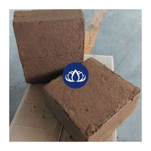 Coco Peat: Substrato de Cultivo para Flores y Expansión Radicular con Excelente Relación Calidad-Precio, Disponible Ahora - Product Image 1