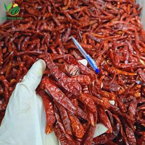พริกแห้ง – คุณภาพพรีเมียมสำหรับการแปรรูปอาหารจากเวียดนาม - Product Image 4