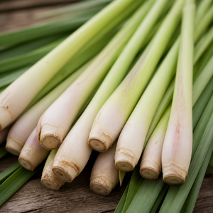 <b>LEMONGRASS</b> ESSENTIAL OIL SPRAY <b>VIETNAM</b> | FRESH CITRUS AROMA FOR HOME & WELLNESS - Product Image 6