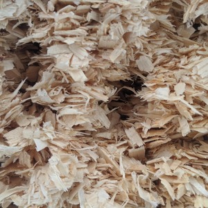 Virutas de Madera 100% Naturales y Aserrín de Residuos Agrícolas - Product Image 6